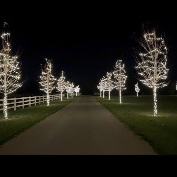 Getting a Start on Our Christmas Lights!