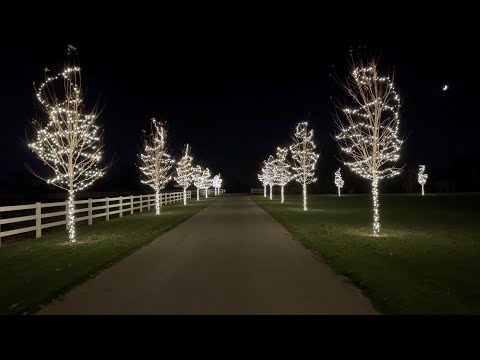 Getting a Start on Our Christmas Lights!