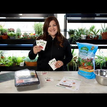 Starting Tomato & Pepper Seeds!