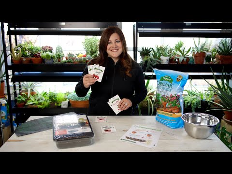Starting Tomato & Pepper Seeds!