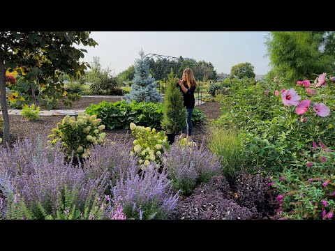 Planting 5 Gorgeous Evergreens (That Stay Small)!