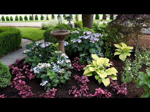 Landscape Makeover Pt 2