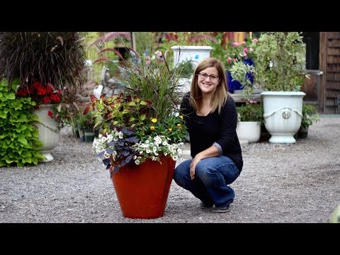 Fall Container Inspiration