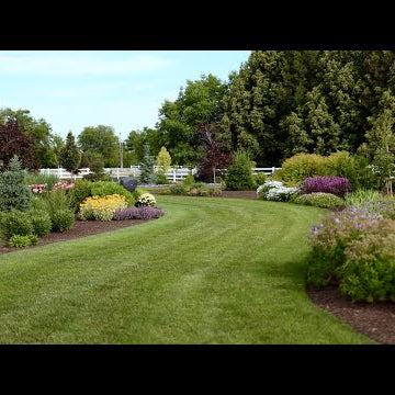 June Tour of Our South Garden!