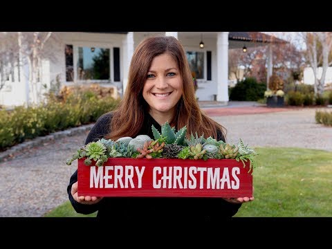 Merry Christmas!