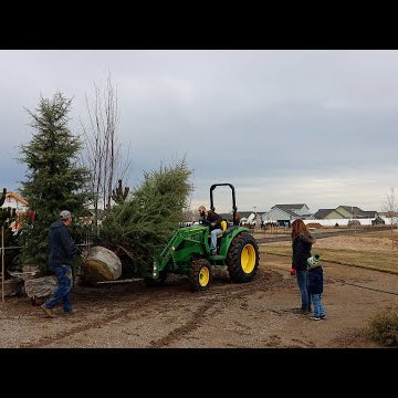 HUGE Tree Delivery!!!