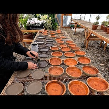 Sealing Terra Cotta Saucers & Thinning Radishes!