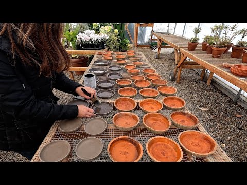 Sealing Terra Cotta Saucers & Thinning Radishes!