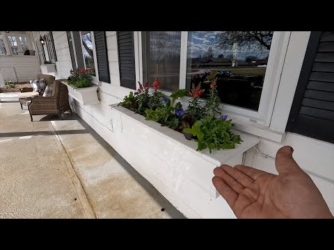 Planting Salad & Herb Window Boxes!
