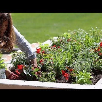 Planting Containers For Sun and Shade!