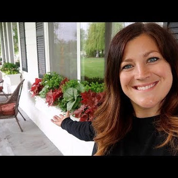 Tulip Clean Up & Window Box Planting!