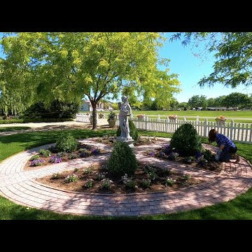 I Got a TON of Planting Done!