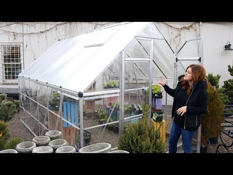 Talking Greenhouses from Inexpensive to Luxury!