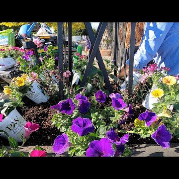 Planting Our Entryway Containers with Some Fun Color!
