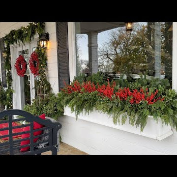 Eye-Catching Windowboxes for Christmas!