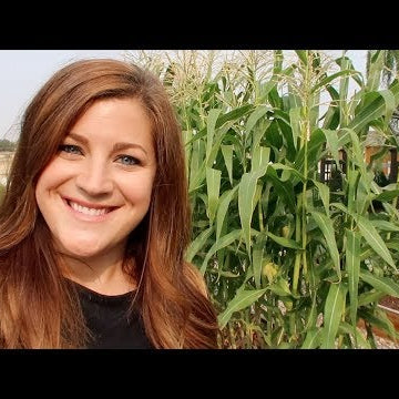 Planting Fall Crops and a Bunch of Other Random Things