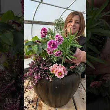 First spring container! Yay!