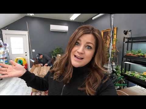 Flower Shed Update + New Grow Lights & Unboxing!