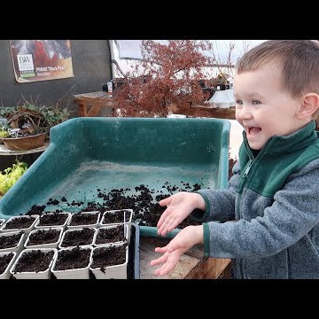 Starting Flower Seeds w/ Benjamin!  (Snapdragons, Dahlias, Columbine & Love in a Puff)