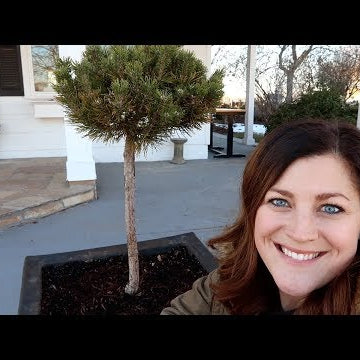 Repotting in January!