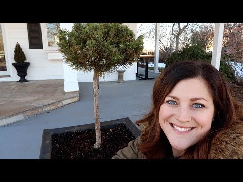 Repotting in January!