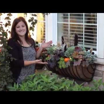 Fall Window Basket Planter Ideas