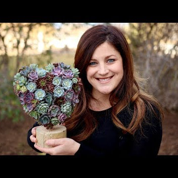 Succulent Heart Topiary (Full Version)