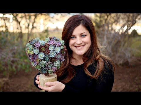 Succulent Heart Topiary (Full Version)