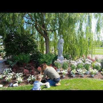 Planting a New Flower Bed!