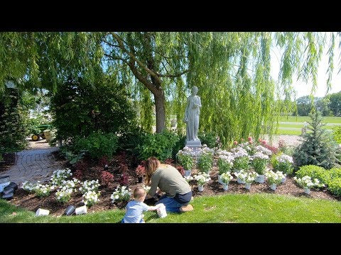 Planting a New Flower Bed!
