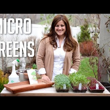 How to Grow Microgreens