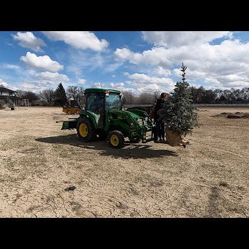 An Easy Easter Project, Winter Sowing Update & Placing Trees!