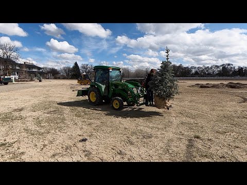 An Easy Easter Project, Winter Sowing Update & Placing Trees!