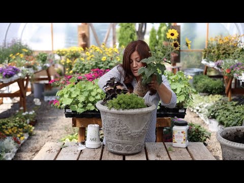 Flower Alley Part 4: Simple Container Ideas for Full Sun!