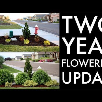 Flowerbed Update at my In-Laws