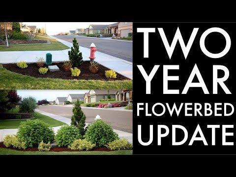 Flowerbed Update at my In-Laws