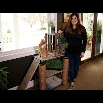How I Made a Cat Tower Garden!