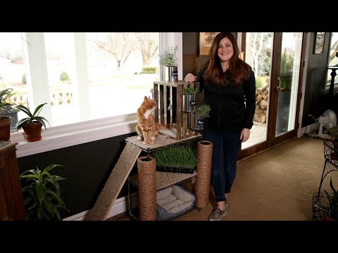 How I Made a Cat Tower Garden!
