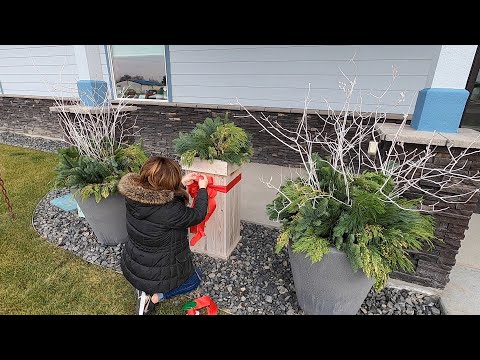 Spreading Some Holiday Cheer with a Few Simple Winter Containers!