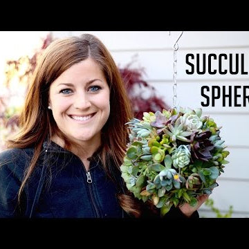 How to Make a Succulent Sphere
