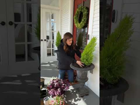 First Outside Spring Containers! Yay!
