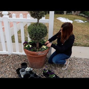 Planting Pots, Herb Starts & Begonias + Studio & Seedling Tour!