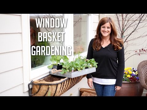 Window Basket Gardening