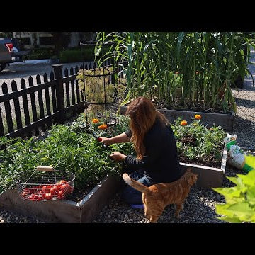 Raised Bed Vegetable Garden Tour & Maintenance!