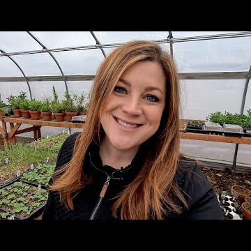 Seedling Care: Thinning, Separating, Fertilizing & Fixing Stretched Seedlings!