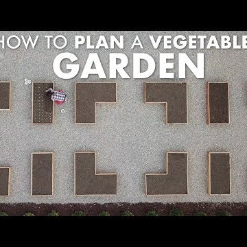 How to Plan a Vegetable Garden!