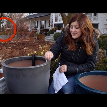 Who was that Walking in the Background? Where Can I Request a Video?