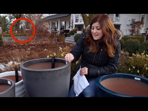 Who was that Walking in the Background? Where Can I Request a Video?