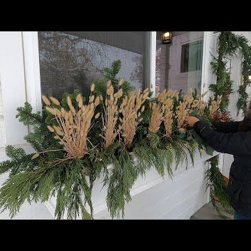 Setting Up a Bird Bath & Decorating Our Kitchen Entrance!