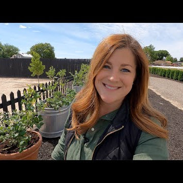 Growing Blueberries in Containers!